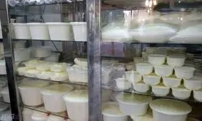 استفاده از دستمال کاغذی در سرشیرهای سنتی / از مصرف لبنیات سنتی پرهیز کنید