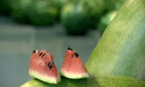 مراسم شب یلدای کارتن‌خواب‌هایی که میانشان هم "دکتر" هست