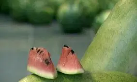 مراسم شب یلدای کارتن‌خواب‌هایی که میانشان هم "دکتر" هست