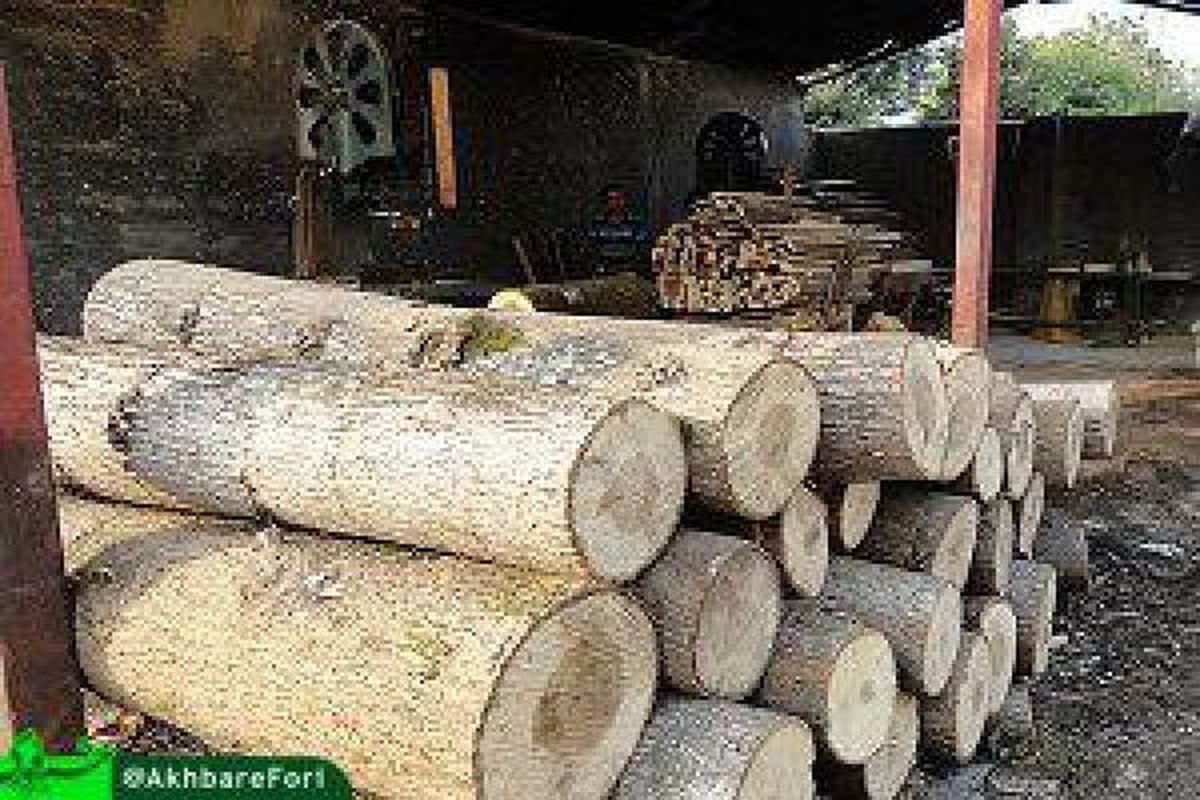 کشف 12 تن چوب درخت بلوط در مرکز لرستان
