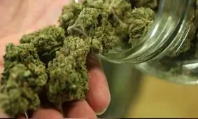 گل، جای شیشه را گرفت