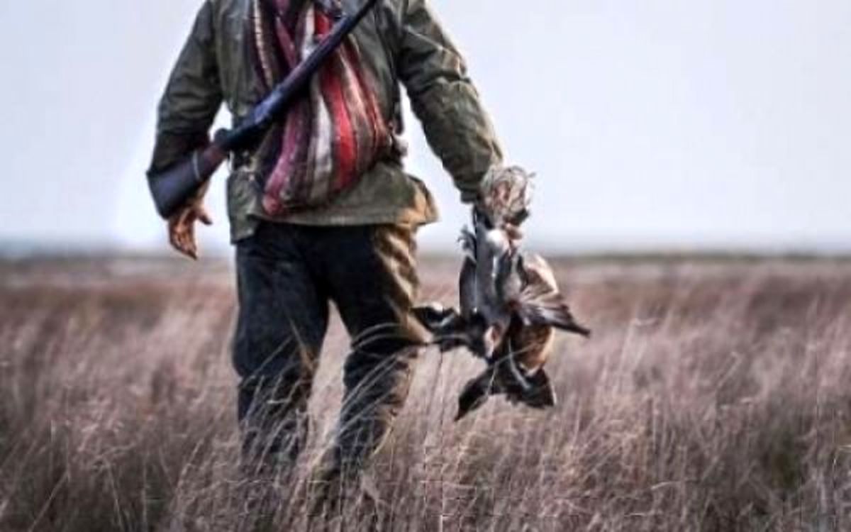 شکار پرندگان در گیلان تا اطلاع ثانوی ممنوع شد