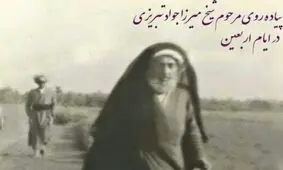 عکس / پیاده روی مرحوم شیخ میرزا جواد تبریزی به سوی کربلا