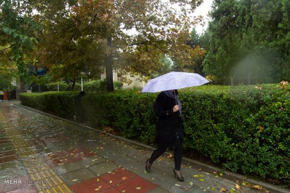 وزش باد شدید در گیلان /دمای هوا ۳ تا ۸ درجه کاهش می یابد