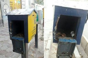 سرقت از صندوق صدقات در خیابان میرداماد