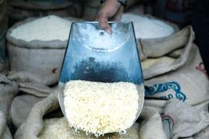 افزایش ۷۵ درصدی واردات برنج به کشور در سال جاری