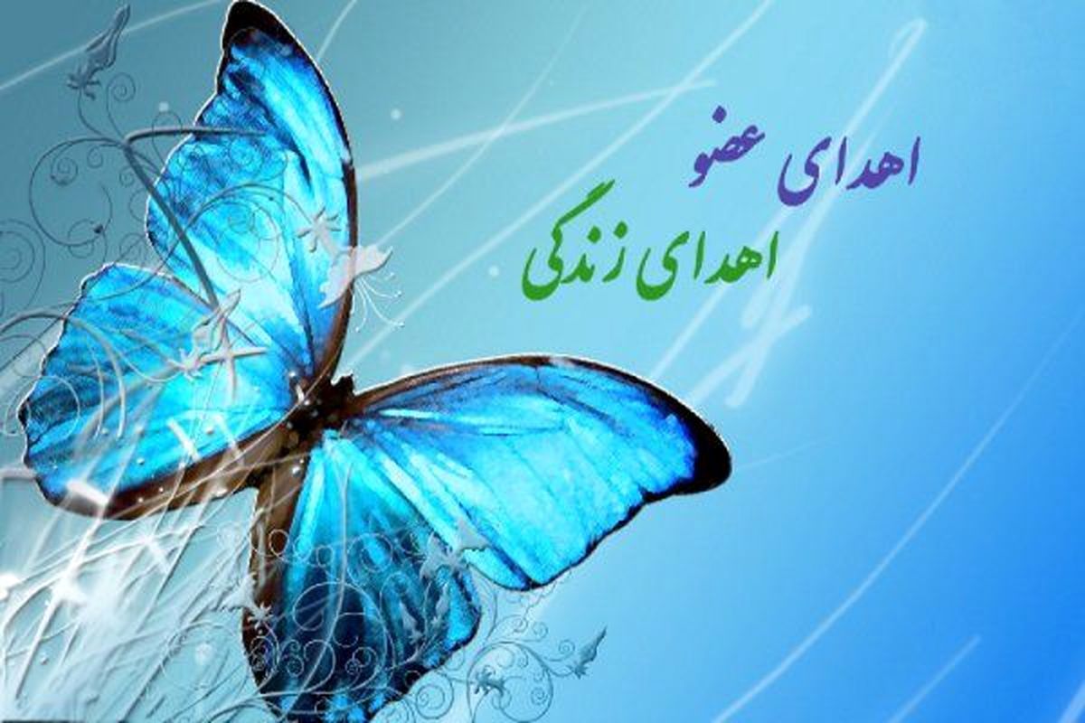 اعضای بدن نوجوان ۱۵ ساله به سه بیمار جان دوباره بخشید