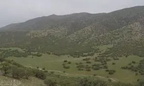 مهم‌ترین بحران لرستان رویشگاه‌های جنگلی آن است