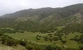 مهم‌ترین بحران لرستان رویشگاه‌های جنگلی آن است