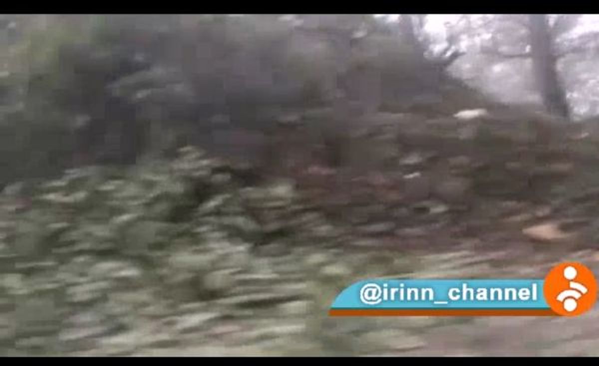 فیلمی از قطع درختان در جاده جنگلی کلاردشت - عباس‌آباد