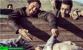 شمار کشته‌شدگان زلزله کرمانشاه به 423 نفر رسید