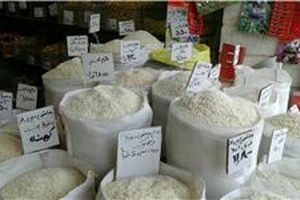 وجود برنج‌های پلاستیکی از شایعه تا واقعیت/ مردم برنج را بر اساس استاندارد سازمان غذا و دارو بخرند