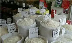 وجود برنج‌های پلاستیکی از شایعه تا واقعیت/ مردم برنج را بر اساس استاندارد سازمان غذا و دارو بخرند