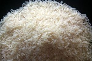 دولت واردات برنج را آزاد کرد  