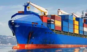 لیست واردات کالاهای عجیب و غریب کامل شد/ واردات شتر از آلمان، انگلستان و ایتالیا +جدول