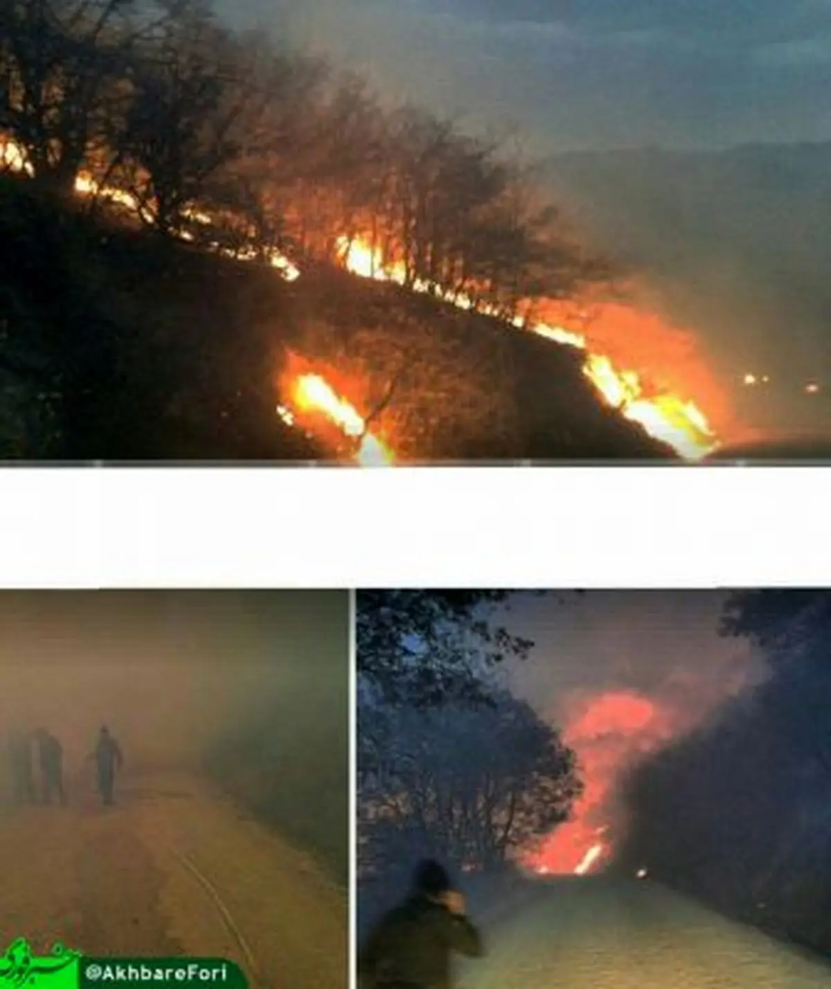 آتش سوزی در جنگل گلستان