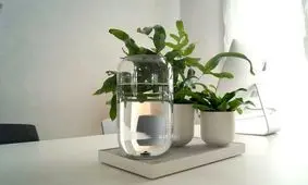 ارتش آمریکا گیاهانی هوشمند می سازد