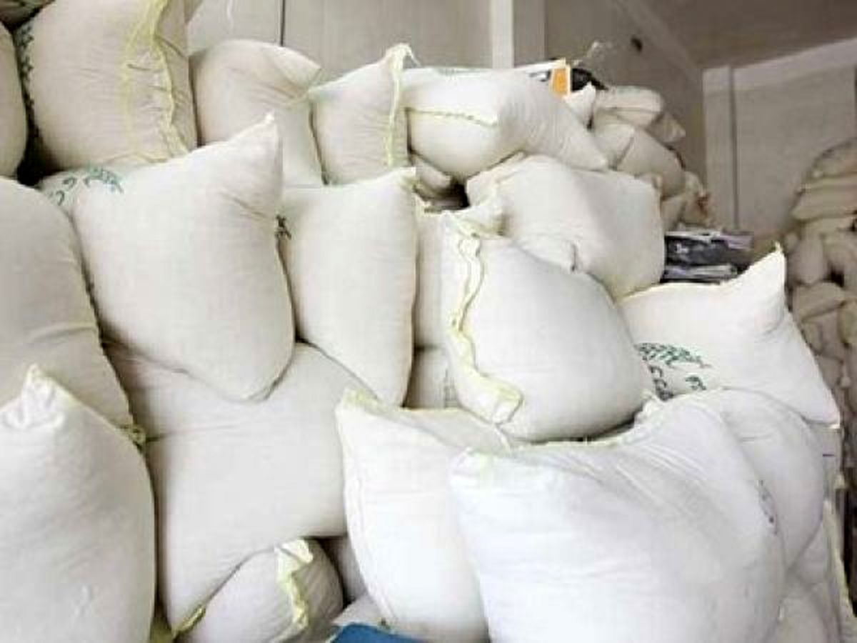 واردات برنج به کشور متوقف شد