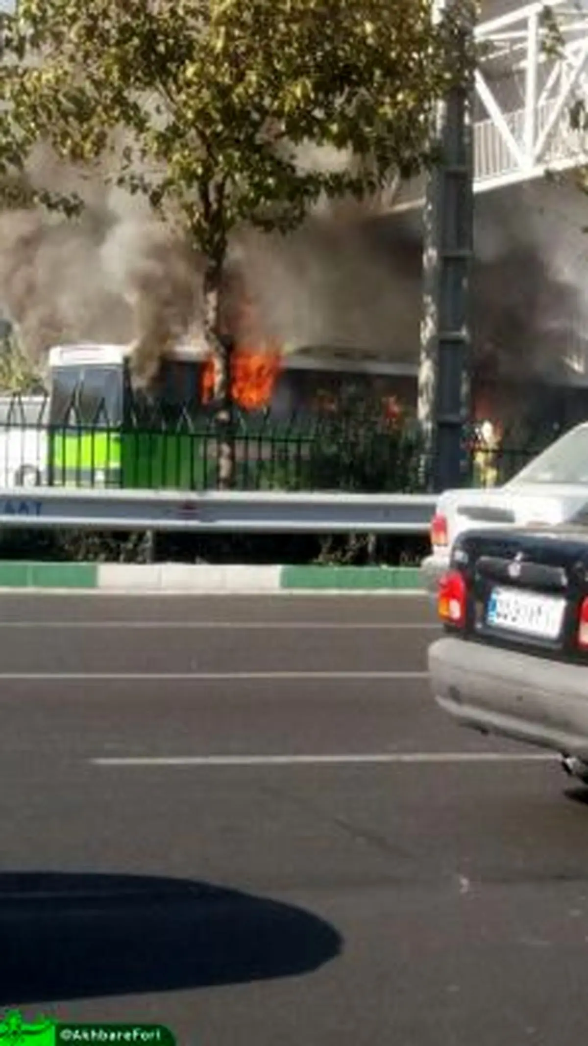 اتوبوس شرکت واحد، طعمه حریق شد