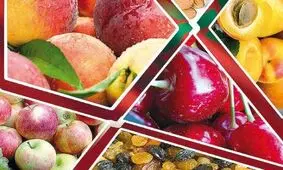 وضعیت بازار میوه متعادل است/ به جز 4 میوه گرمسیری نیازی به واردات میوه نداریم
