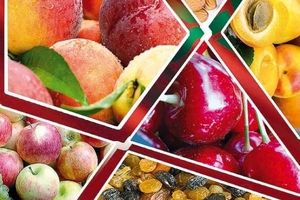 وضعیت بازار میوه متعادل است/ به جز 4 میوه گرمسیری نیازی به واردات میوه نداریم