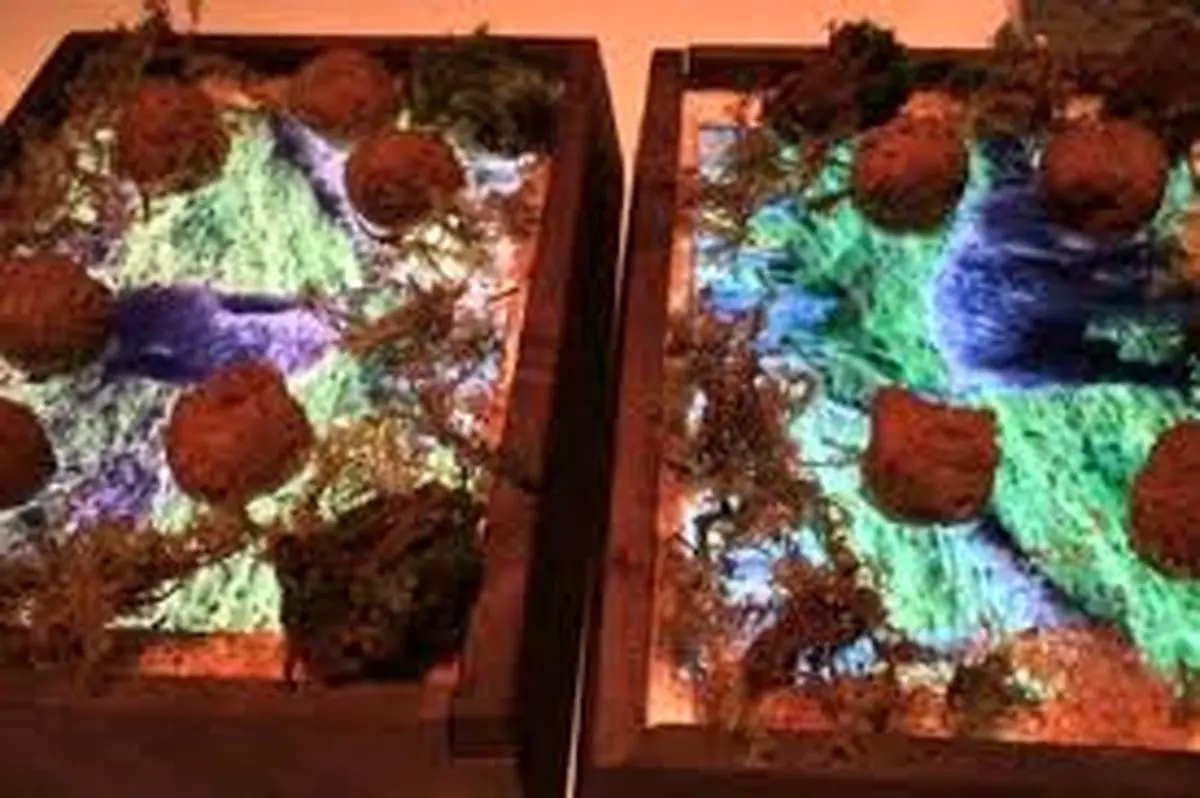 رستورانی که از تبلت به جای ظروف غذا استفاده می‌کند!