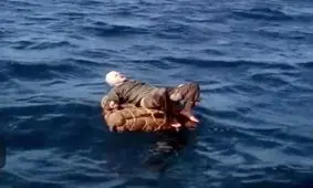 هی، حرامزاده ها، من هنوز زنده ام!