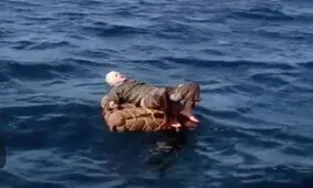 هی، حرامزاده ها، من هنوز زنده ام!