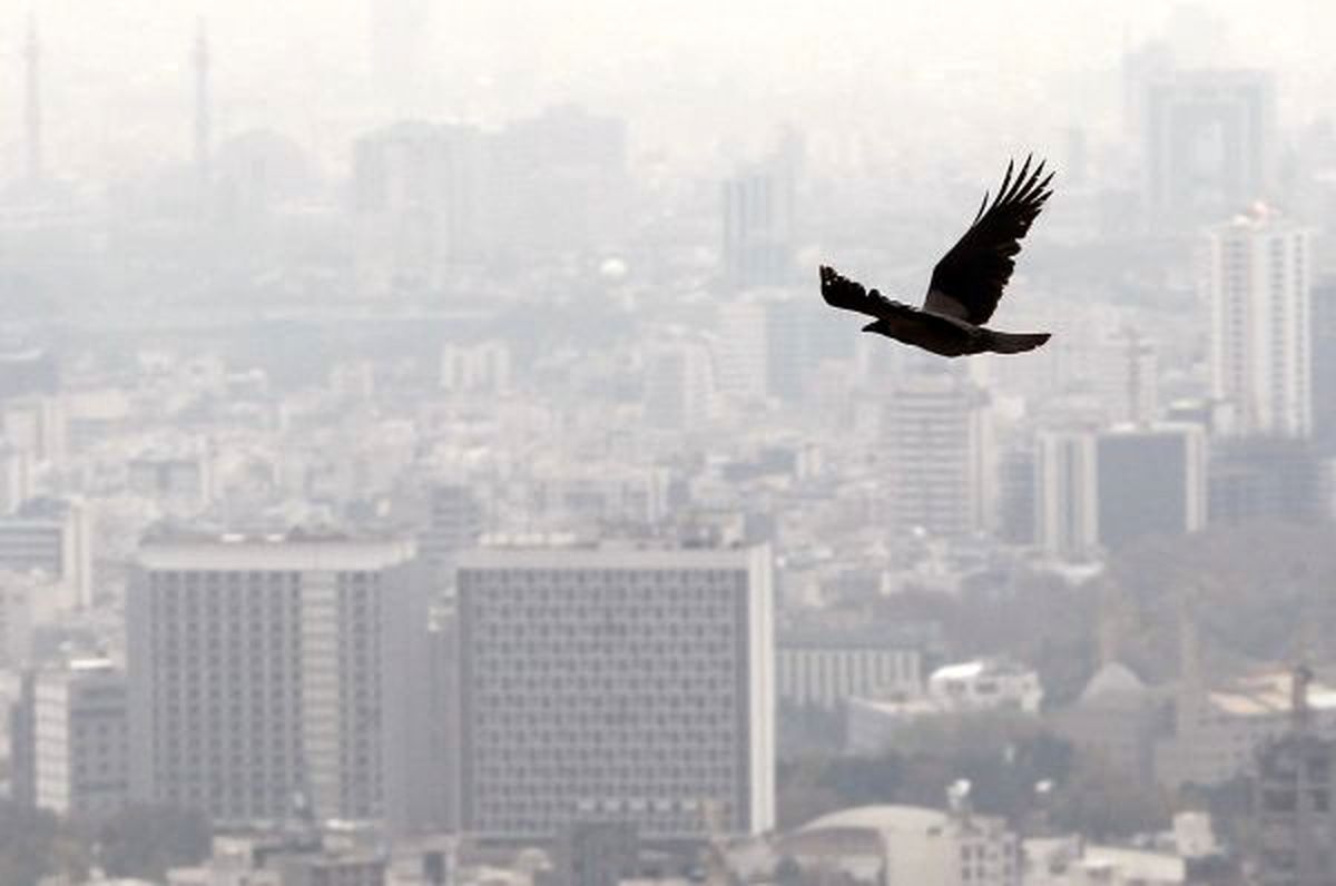 آلودگی هوا در کمین ساکنان ۶ شهر پرجمعیت کشور