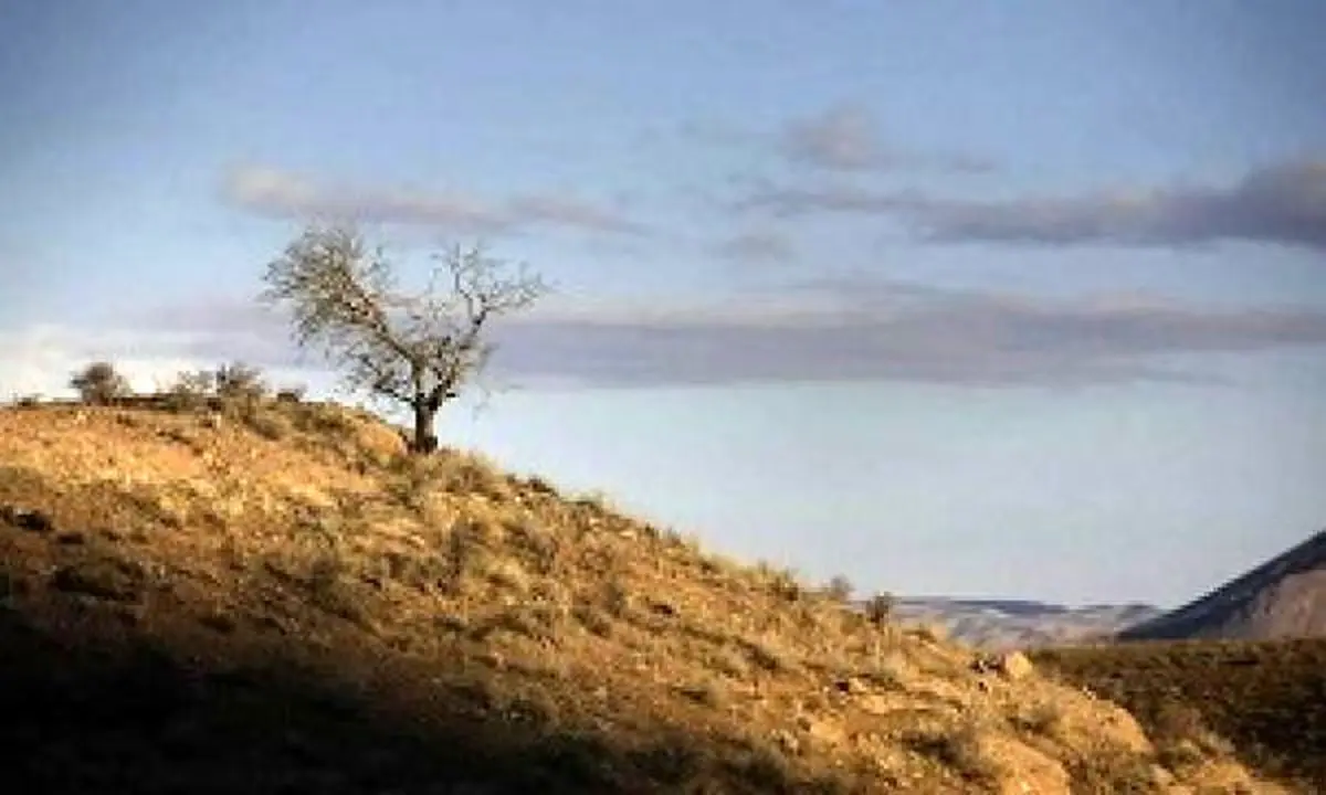 انهدام باند شکارچیان غیرمجاز در پاکدشت