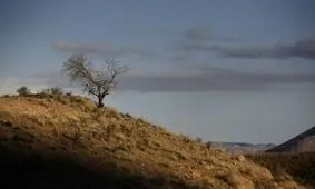 انهدام باند شکارچیان غیرمجاز در پاکدشت