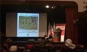 گرامیداشت روز جهانی توانیابان در موسسه رعد با حمایت بانک گردشگری