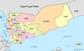پسران علی عبدالله صالح دستگیر شدند / تایید مرگ رئیس‌جمهور پیشین یمن