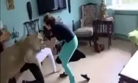 شیری که به صاحبش وفا نکرد! تماشا کنید حمله ناگهانی شیر به صاحبش