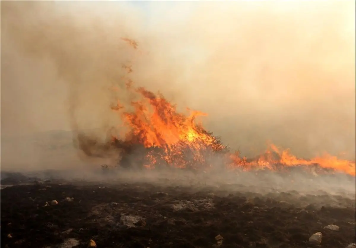 آتش‌سوزی در ۳ نقطه جنگلی در شهرستان کلاله