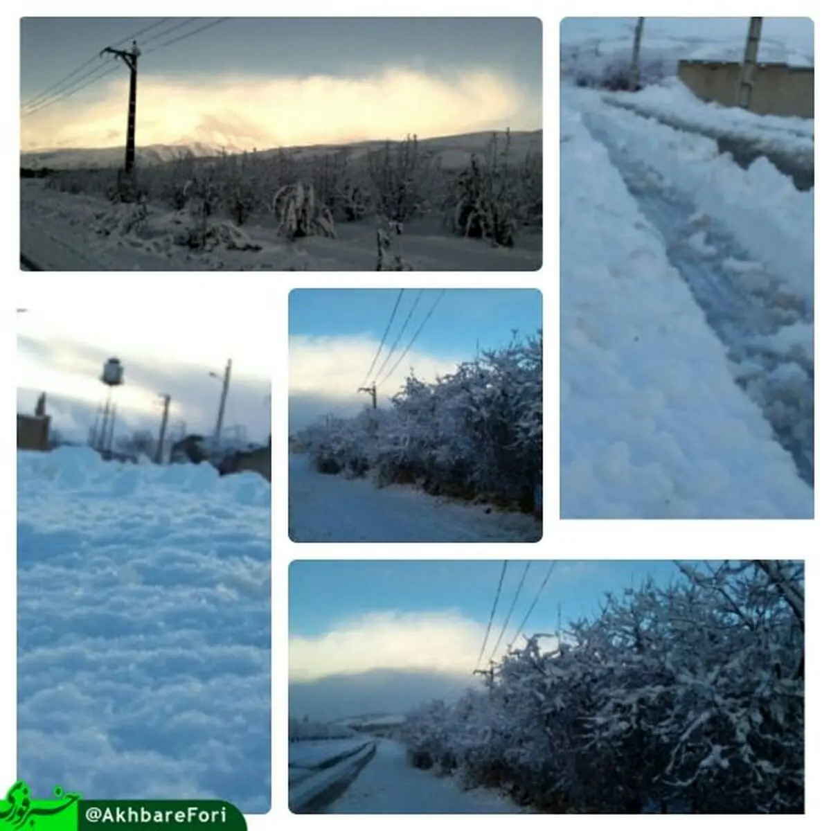 روایت تصویری هموطنان آذری از برف سنگین پاییزی