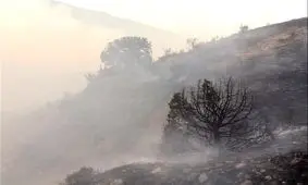 ۱۰ هکتار از اراضی جنگلی استان گلستان در آتش سوخت