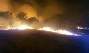 جنگل‌ درفک دچار حریق شد