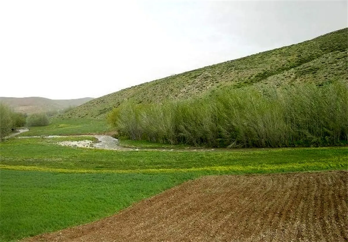۱۴۴۹ هکتار از اراضی ملی کهگیلویه و بویراحمد واگذار شد