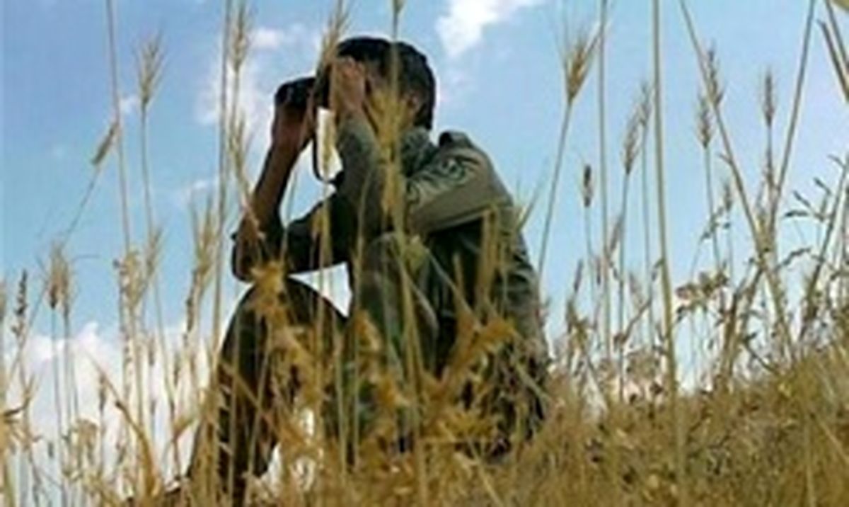 فرمانده یگان محیط زیست: محیطبانان میترسند از اسلحه استفاده کنند