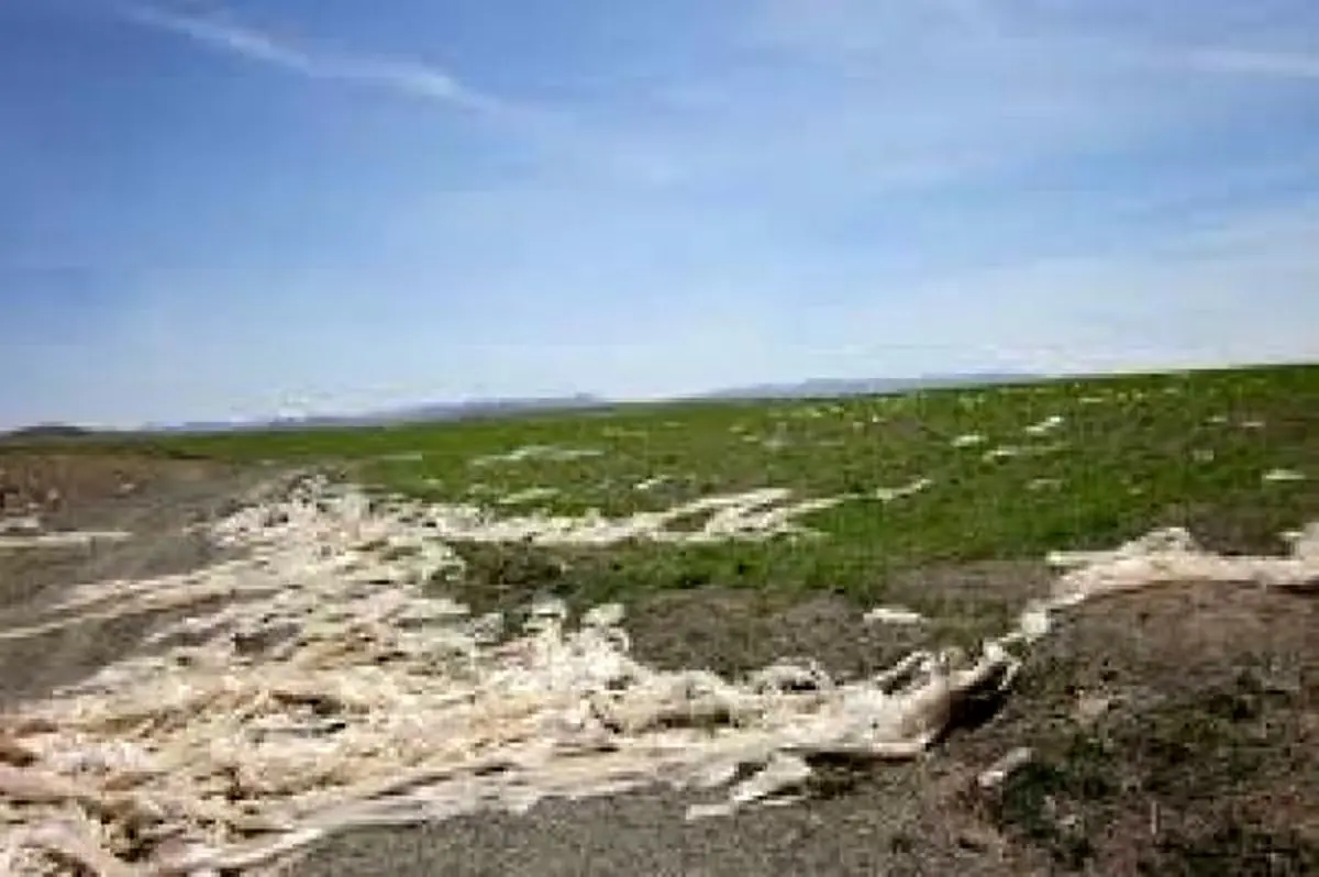 رها کردن پلاستیک به شدت منابع خاک را تخریب می‌کند