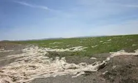 رها کردن پلاستیک به شدت منابع خاک را تخریب می‌کند