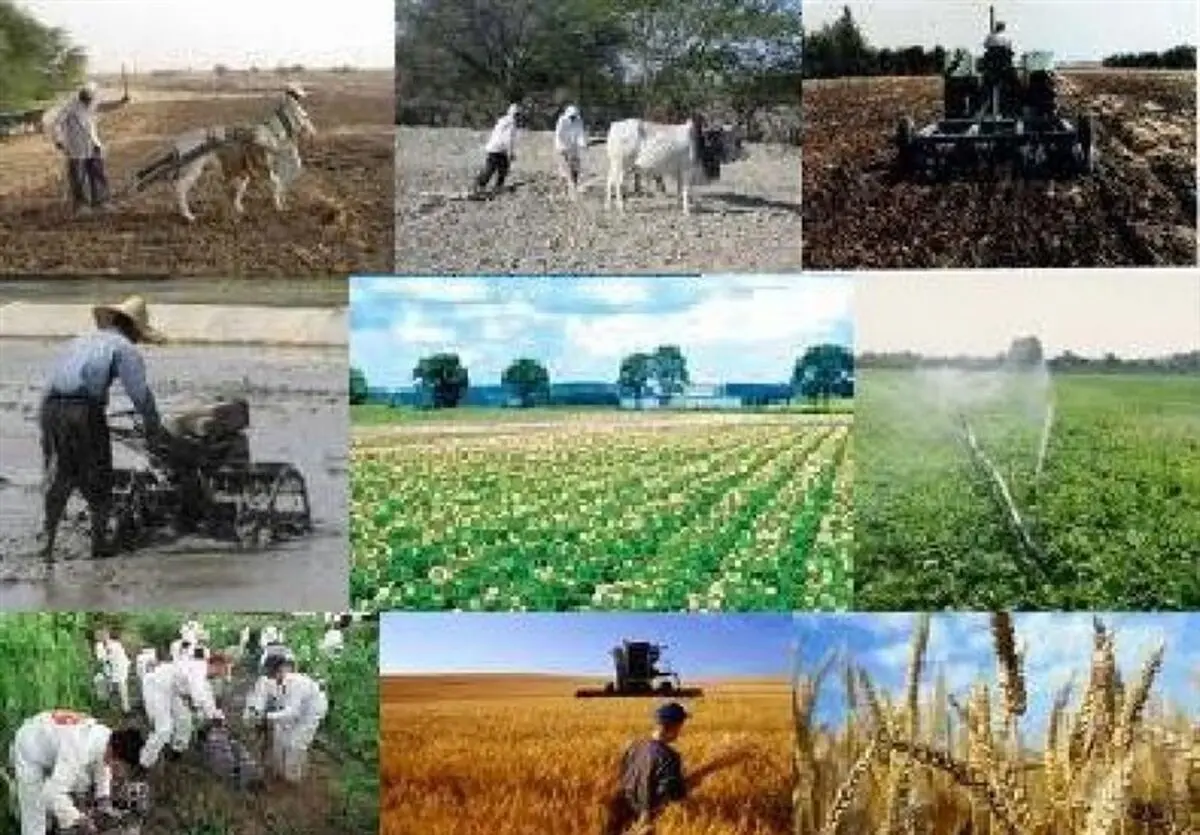۶۲ فقره پروژه تحقیقاتی در حوزه آبیاری نوین در اردبیل اجرا می‌شود