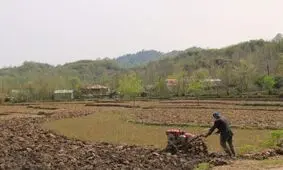 کشاورزان گیلان شالیزارها را برای شخم زمستانه آماده کنند