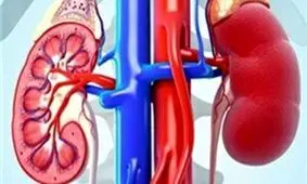 عادات غلطي كه به كليه آسيب ميرساند را بشناسيد