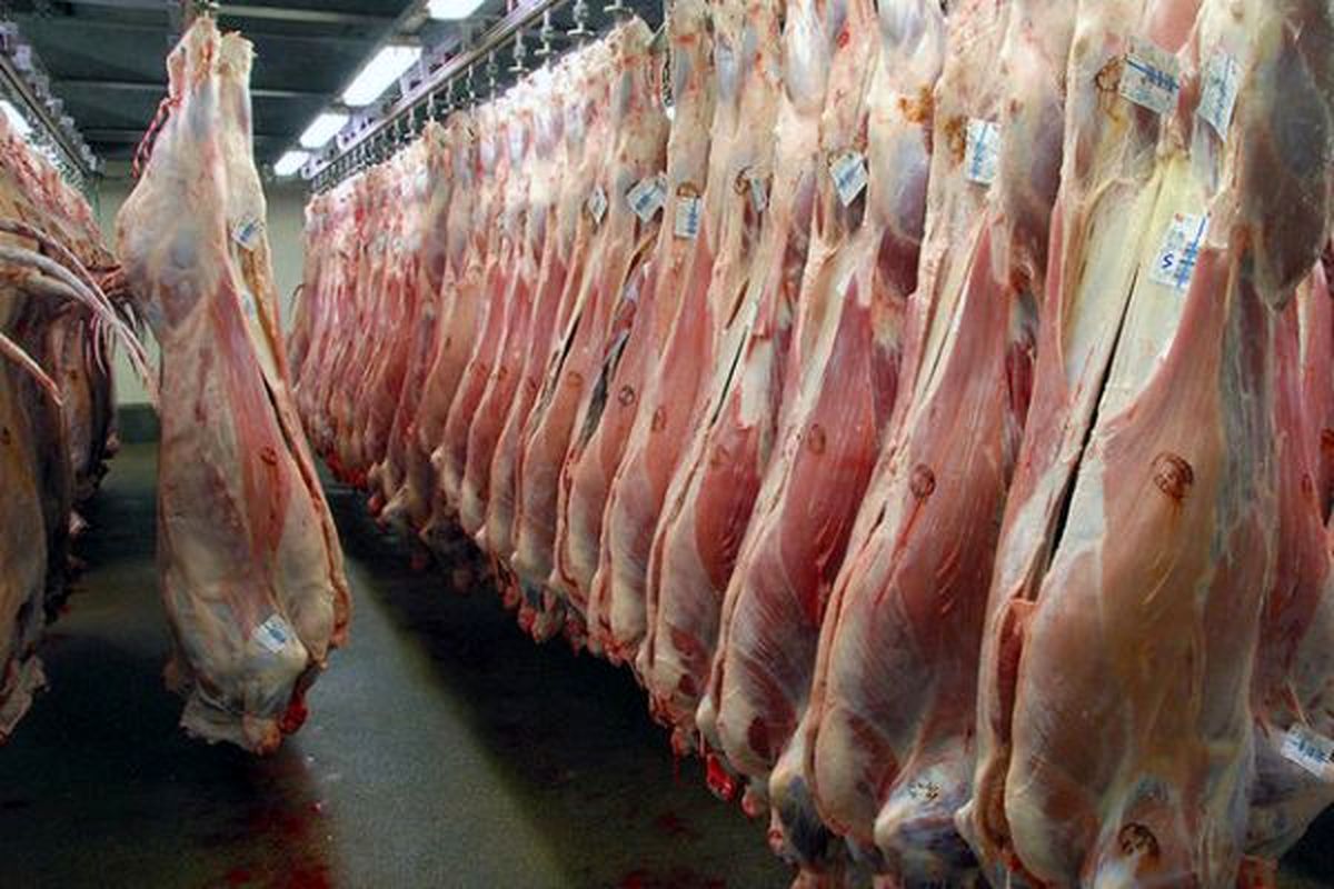 قیمت گوشت خارجی به ۱۵ هزارتومان رسید/دیگر نیازی به واردات نداریم