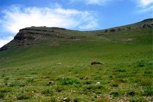 اختلاف مرز مرتعی شهرستان‌های ارسنجان و پاسارگاد برطرف شد