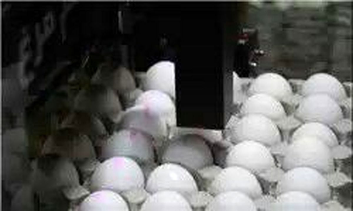 افزایش قیمت تخم‌مرغ در بازار پس از گرانی کره/ تخم‌مرغ شانه‌ای ۱۰ هزار و ۴۵۰ تومان