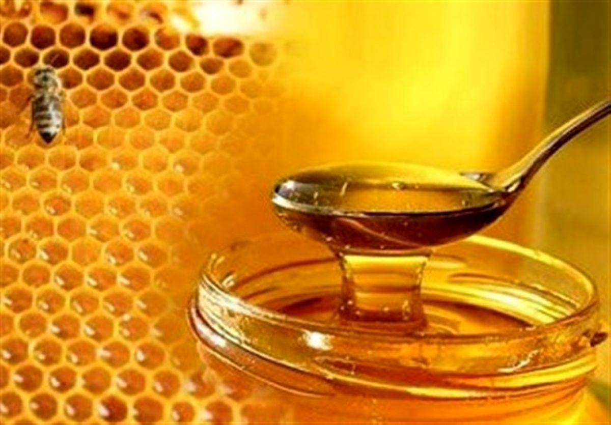 ۱۸۵۰ تن عسل سالانه در خراسان رضوی تولید می‌شود