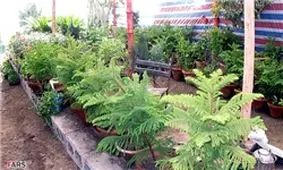 طرح آبرسانی به بزرگ‌ترین دهکده گل کشور در محلات افتتاح شد